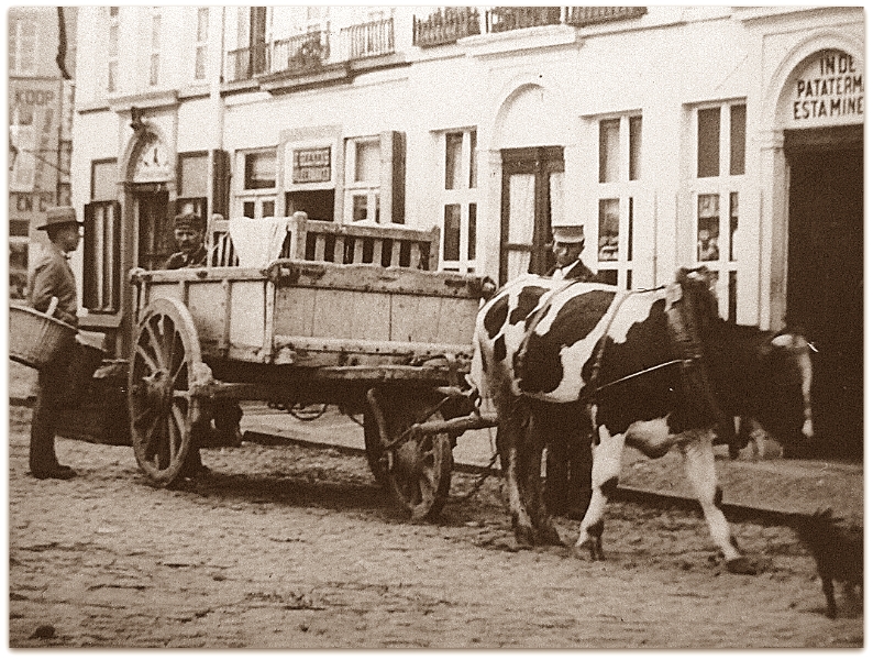 grote_markt (70)